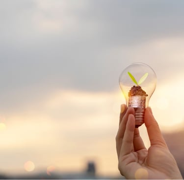 Foco con planta verde en el interior, símbolo de crecimiento financiero y hábitos de ahorro e inversión