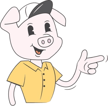 Road Hog Detailing Mascot - Max The Pig