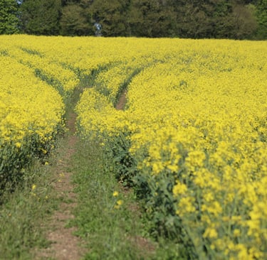 move forward after a breakup