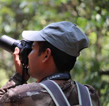 daman into Bardiya National Park