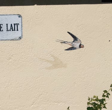 Peinture sur façade, d'une hirondelle en vole et d'un petit panneau en trompe-l'oeil