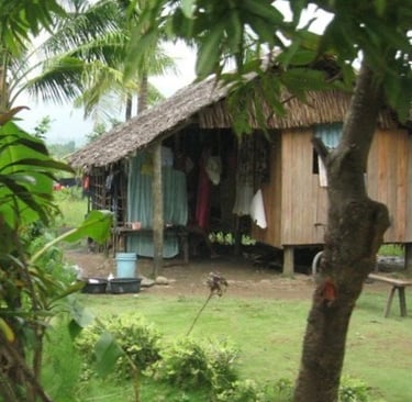A hut-style abode surrounded by greenery.