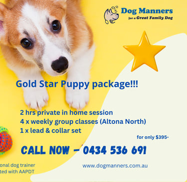gold star puppy training package