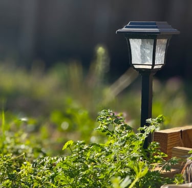 Luminária solar preta em jardim com vegetação verde ao redor.