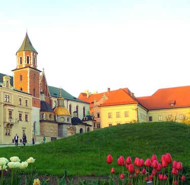 Guía turística en Cracovia