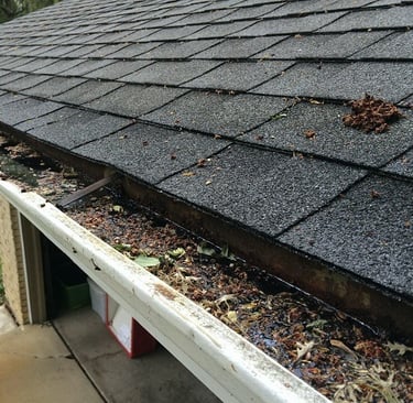 Roof wash house washing Risks of Not Keeping Up With Property Maintenance