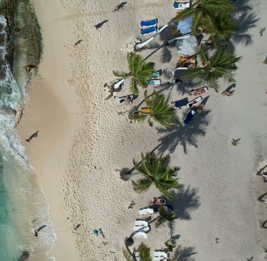 a beach with a lot of people on it catalina island punta cana