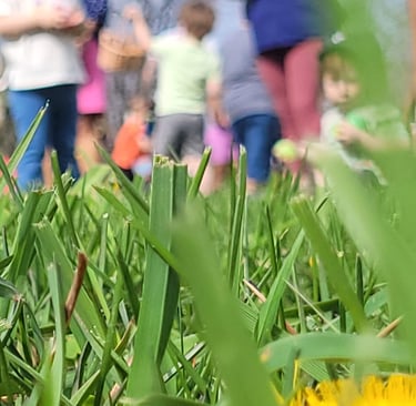 Closeup photo of grass during an Easter Egg Hunt at Crescent Hills Civic Association
