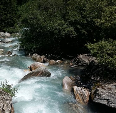 Rivière en pleine nature pleine de vitalité
