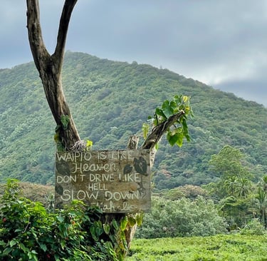 Hiilawe Falls Big island of Hawai'i