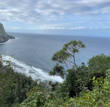 Waipi'o Valley Big Island of Hawai'i