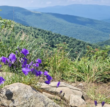 bieszczadzkie krajobrazy