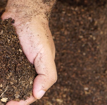 a person holding compost in their hands