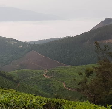 kolukkumalai