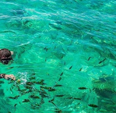 Snorkeling on one of the islands in Tunku Abdul Rahman Marine Park