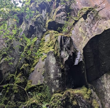 Reclaiming mining infrastructure - project partner