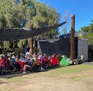 Group of people dining outside under shadecloth