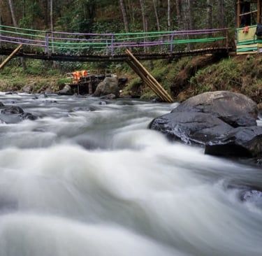 Sebuah jembatan bambu dengan pagar ungu dan hijau membentang di atas aliran sungai deras yang dikelilingi batu besar dan pepo