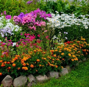 a garden with a variety of flowers and plants