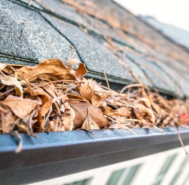 Elegant Restorations Gutter Cleaning