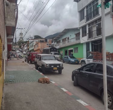 calle de nocaima pueblo por juan garcia finca raiz