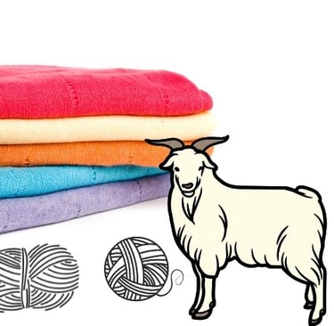 Cashmere In Nepal
