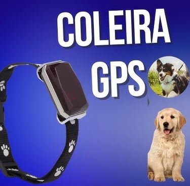 Coleira GPS