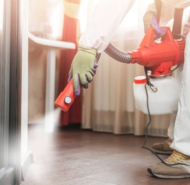 désinsectisation par pulvérisation de produits professionnels, cafards et blattes