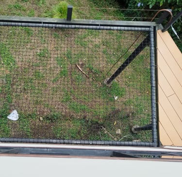 Catamaran fotografia desde arriba