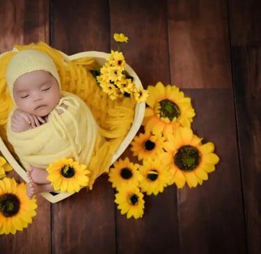 Newborn Photography sunflower themed