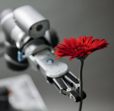 Photo by Pavel Danilyuk: https://www.pexels.com/photo/robot-holding-a-red-flower-8438966/