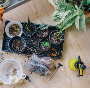 Affordable Hobbies That Enrich Your Life Without Breaking the Bank: Enjoy More, Spend Less