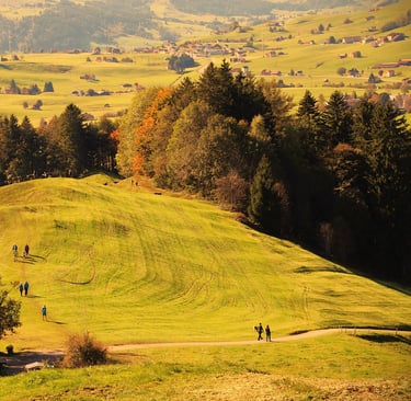 Walking Into Wellness: How Nature Heals the Mind, Body, and Soul