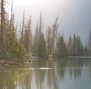 Fly Fishing vs. Bait Fishing — Which Is Right for You?