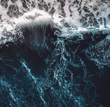 The Future of Clean Oceans: How Technology and Ecology Will Save Our Seas