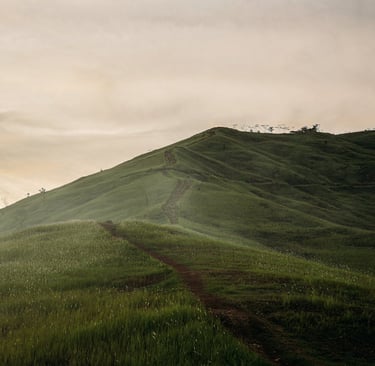 Acuerdo del Pleno no jurisdiccional de la Sala Tercera del Tribunal Supremo de 26/11/2025