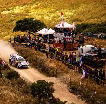 WRC world rally championship