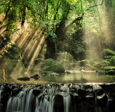 The World’s Most Biodiverse Regions: Exploring Earth’s Living Treasures and Why They Matter