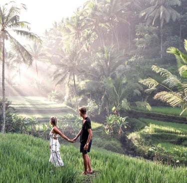 Rice Terrace - Ubud - Tegalalang