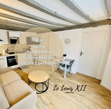 Meilleur studio Amboise près du château 