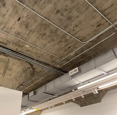 Museum of Contemporary Art