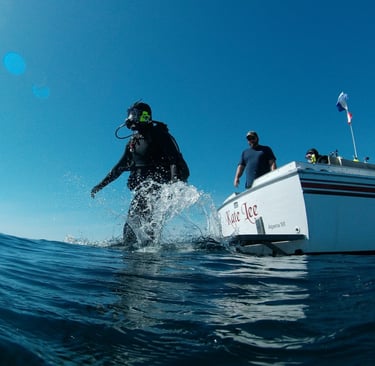 a scuba diver is jumping in the water