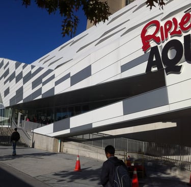 Cladding on the front of Ripley's Aquarium, by Pengelly Iron Works