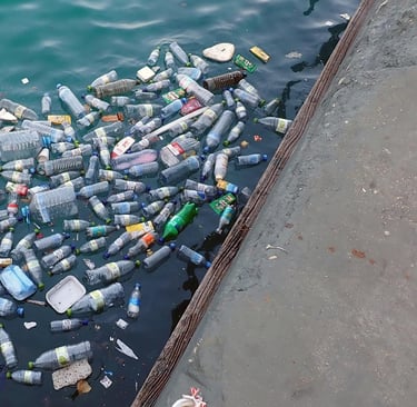 The Ocean’s Silent Crisis: Unraveling the Truth About Plastic Pollution and Its Global Impact