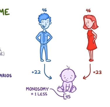 Turner Syndrome