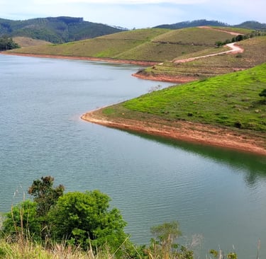 Imagem das margens de um rio