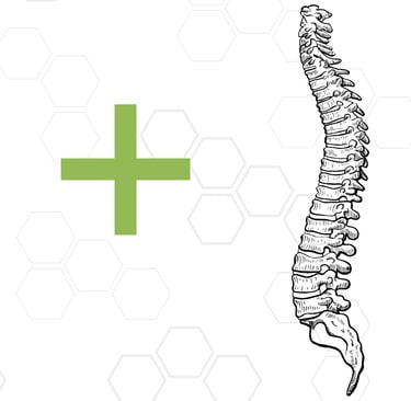 Visual representation of other specialties we offer