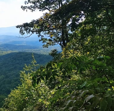 Outdoor Adventures in the Blue Ridge Mountains - Tellico Plains TN & Helen GA