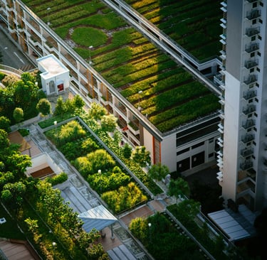 Urban Gardens: How Green Spaces Are Transforming City Ecosystems