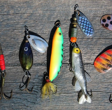 Beginner’s Guide to Fishing: Essential Gear, Best Spots, and Proven Techniques for a Successful Catc